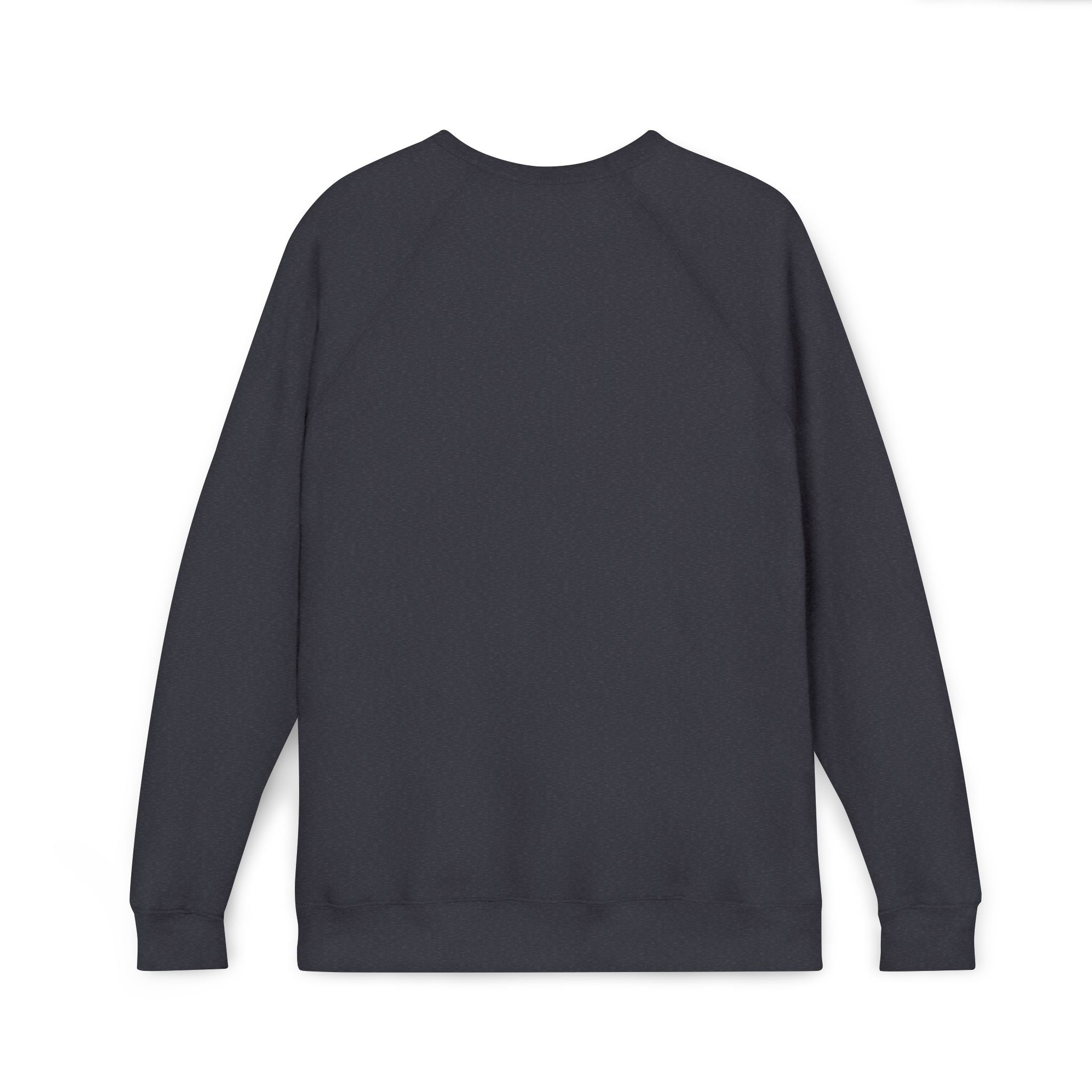 Raw Truth Tee Sweatshirt — "You are a Soverign Soul"