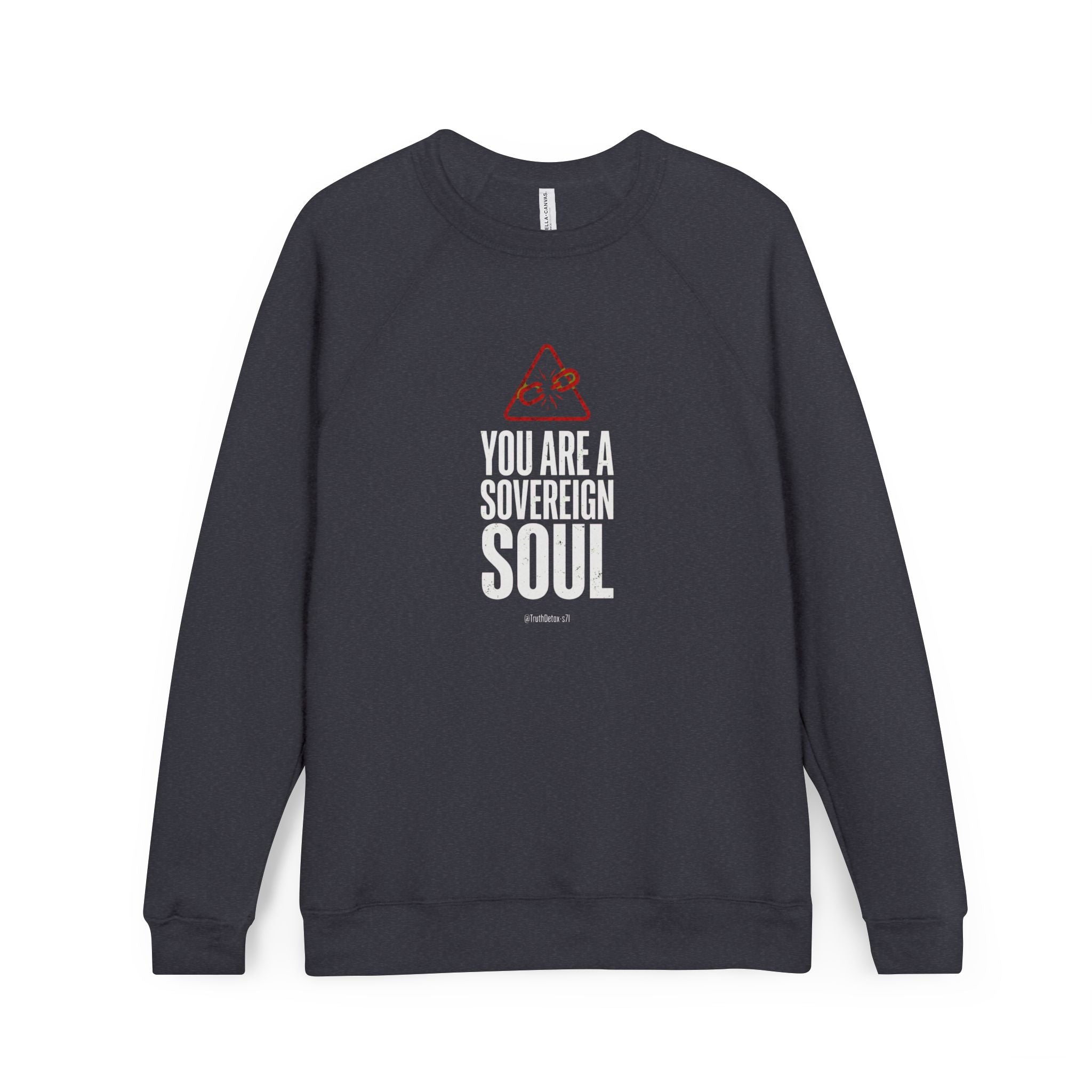 Raw Truth Tee Sweatshirt — "You are a Soverign Soul"